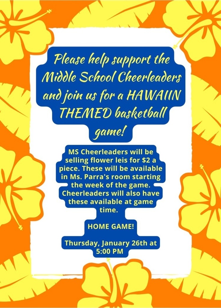 ms cheer hawaiian night flyer
