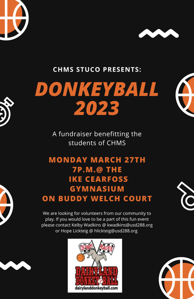 donkey bball