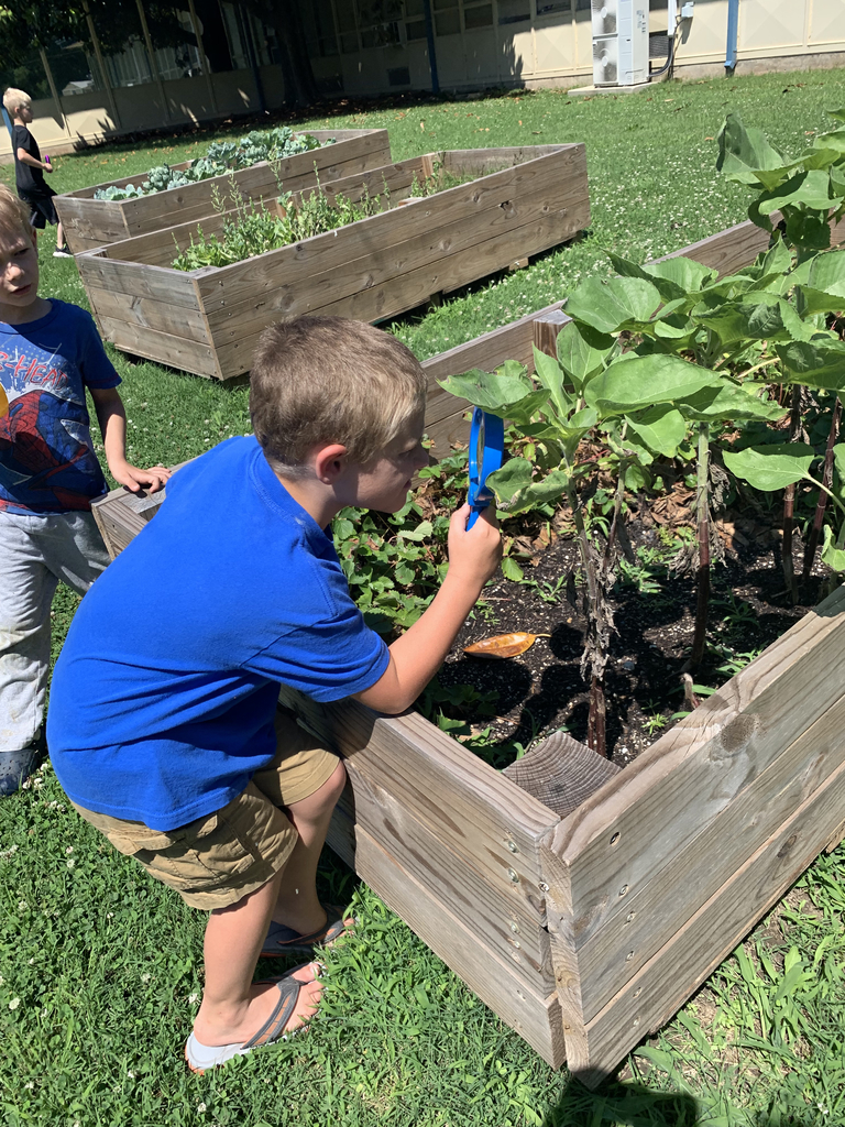 STEM- summer academy 🌱 🌱 