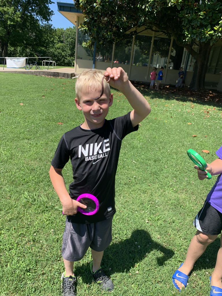 STEM-summer academy 🌱 