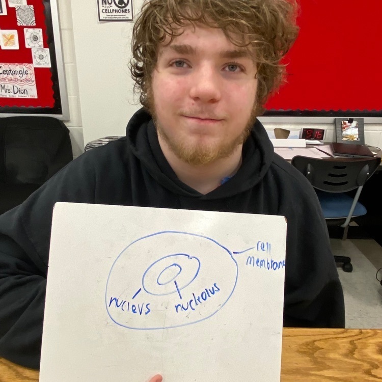 Nucleolus makes and assembles ribosomes!