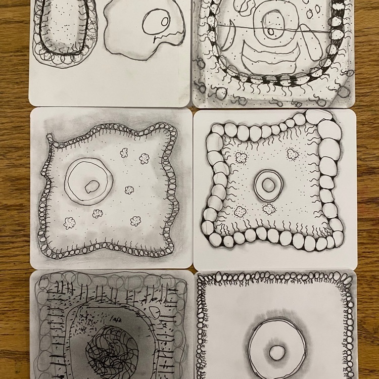 Thank you, Mrs. Dion and Delta Kappa Gamma for the Zentangle materials!