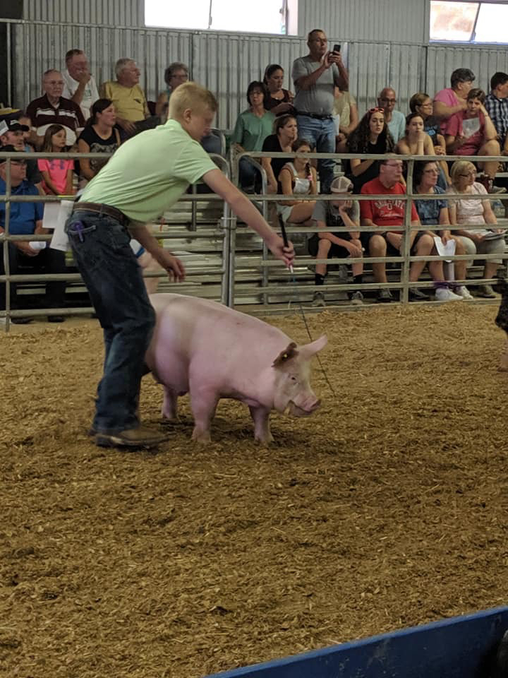 Marion County Fair. 