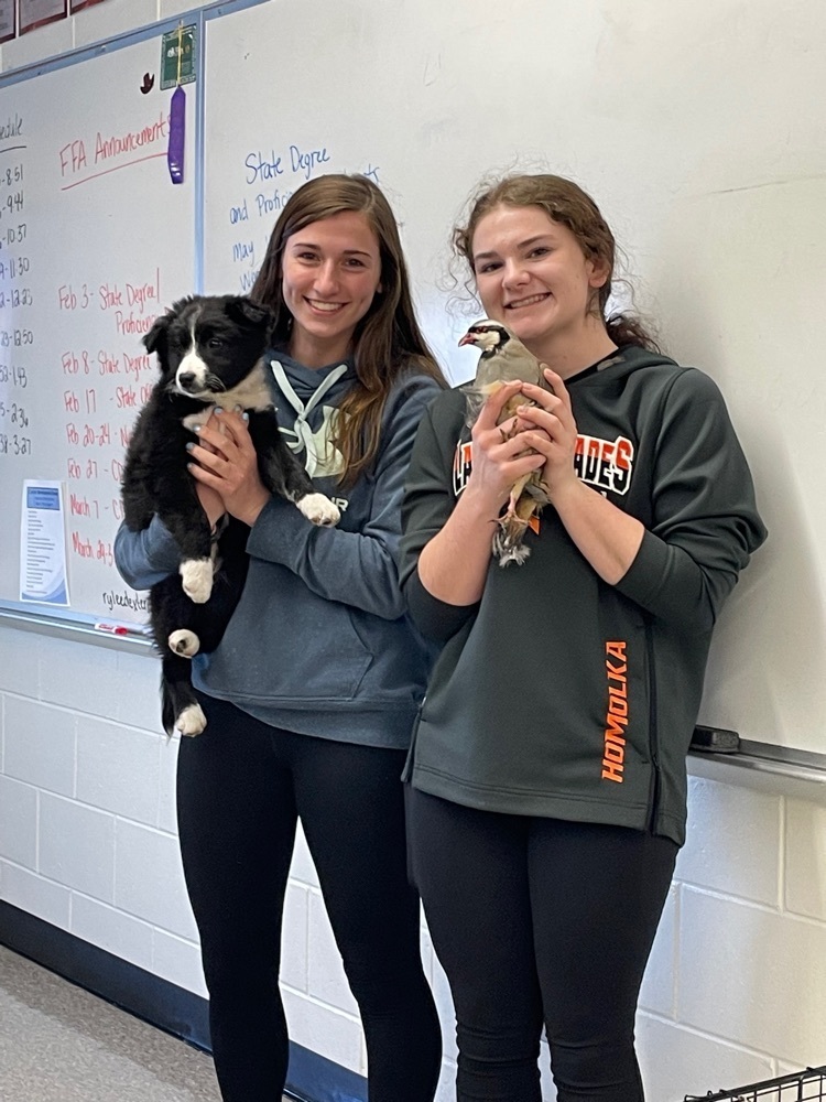 vet class