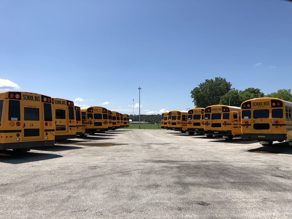 New Buses 