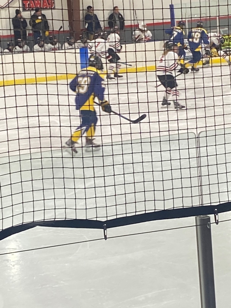 Tawas Hockey