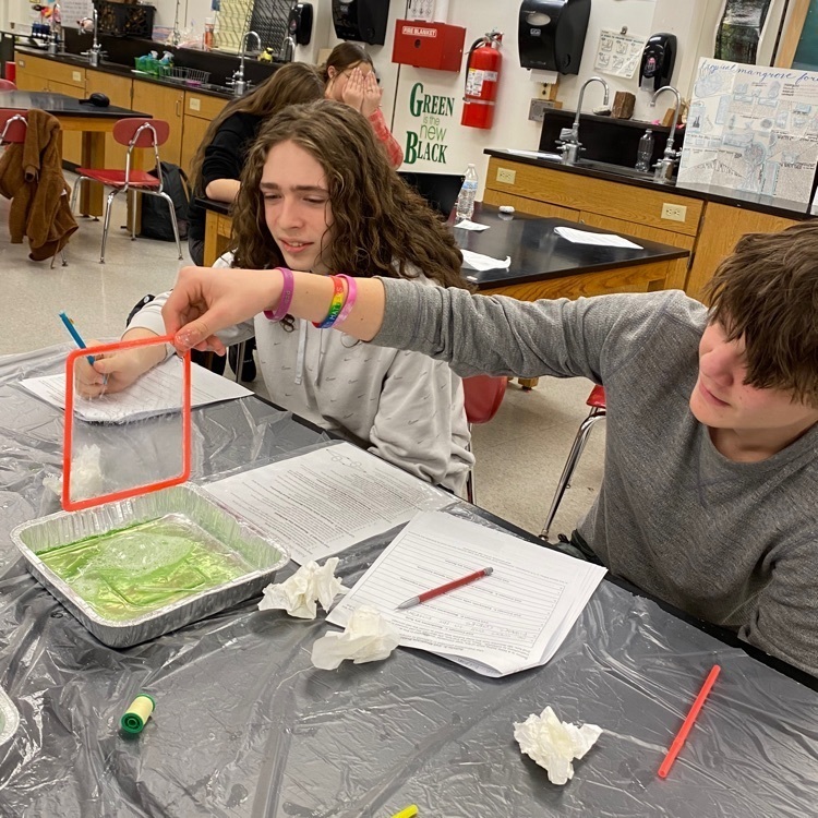 Membrane Mania!