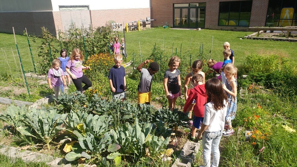 First graders in the garden