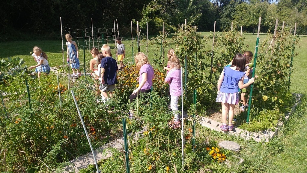 First graders in the garden