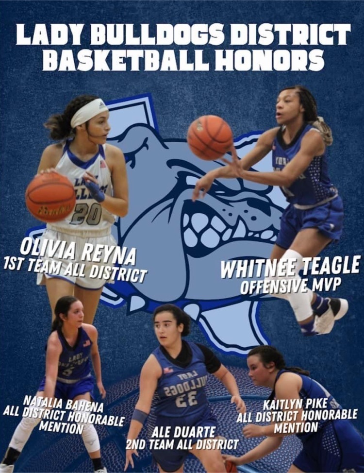Lady Bulldogs District Honors