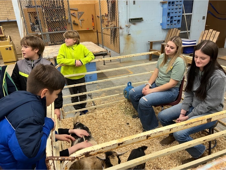 barnyard day