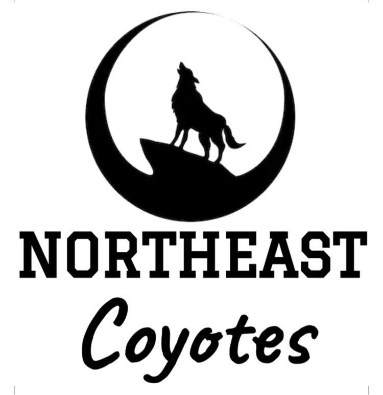 northeast coyotes