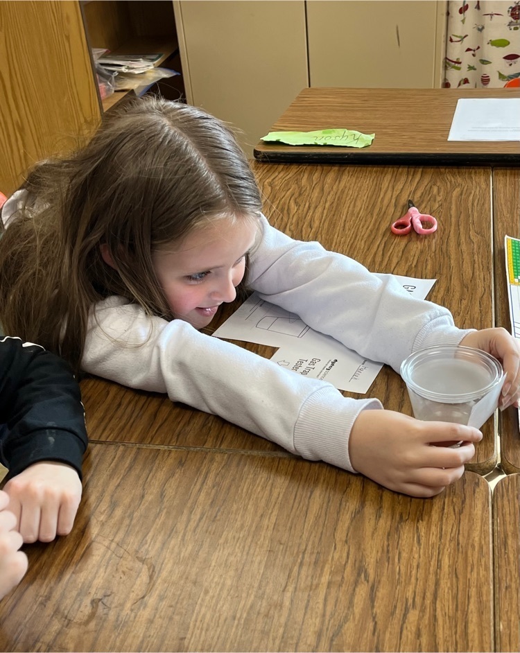 3rd grade Science