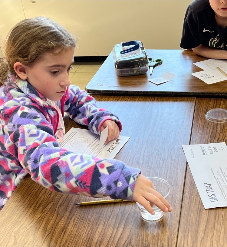 3rd grade Science