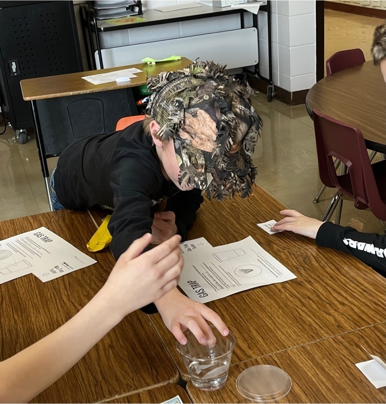 3rd grade Science