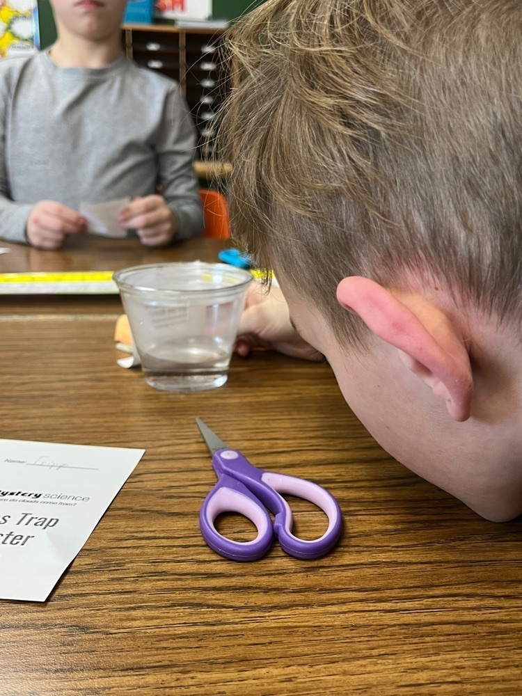 3rd grade Science