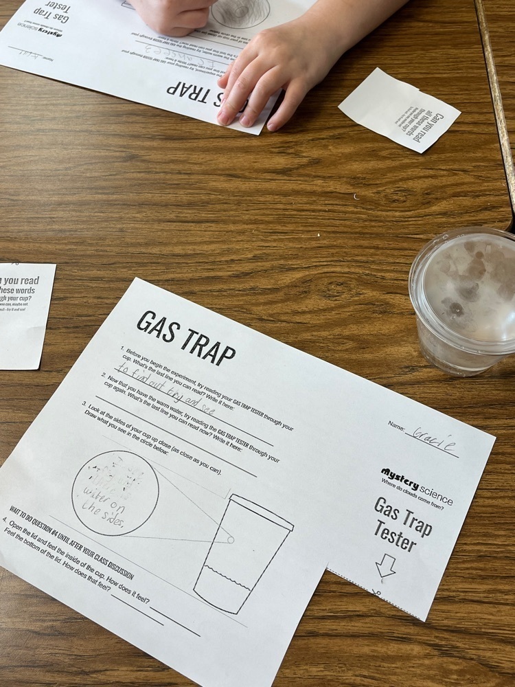 3rd grade Science