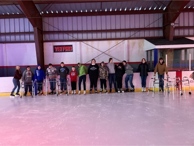 Ice skating shenanigans!