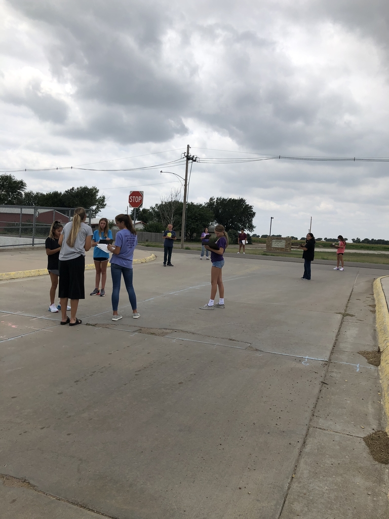 8th graders graphed a parabola!!