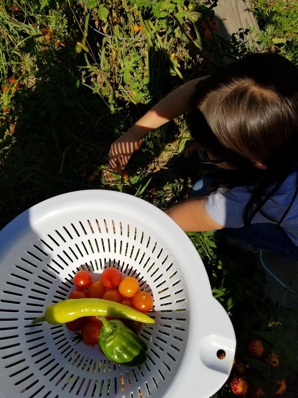 Chef in the Classroom