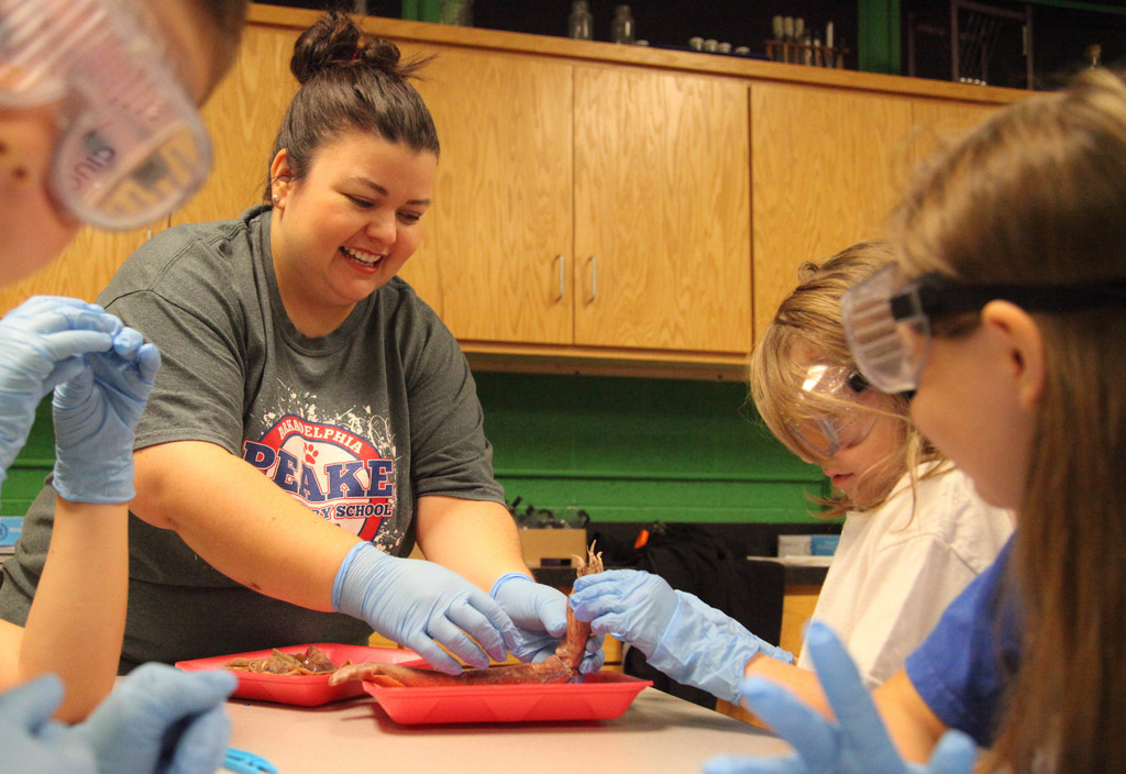 Students dissecting squids