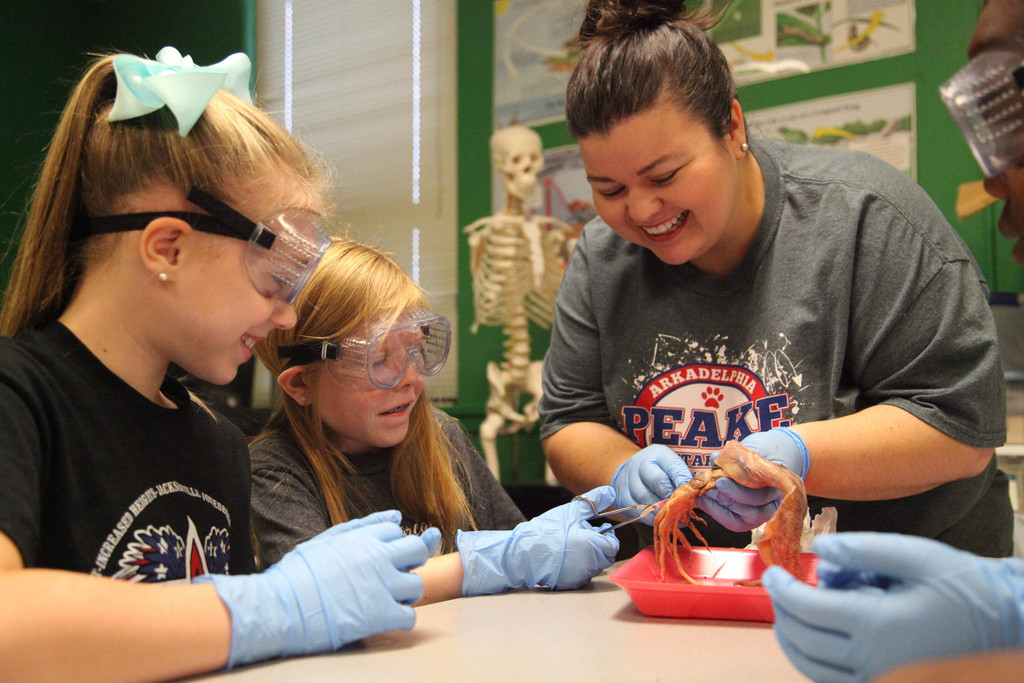 Students dissecting squids