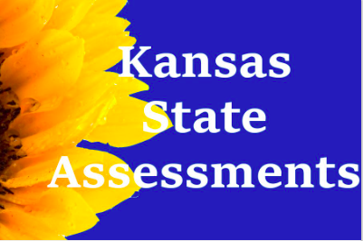 State Assessments