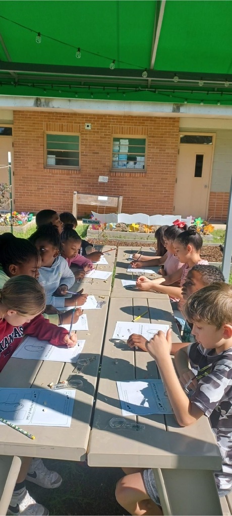 Mrs. Curley’s students learning about the garden