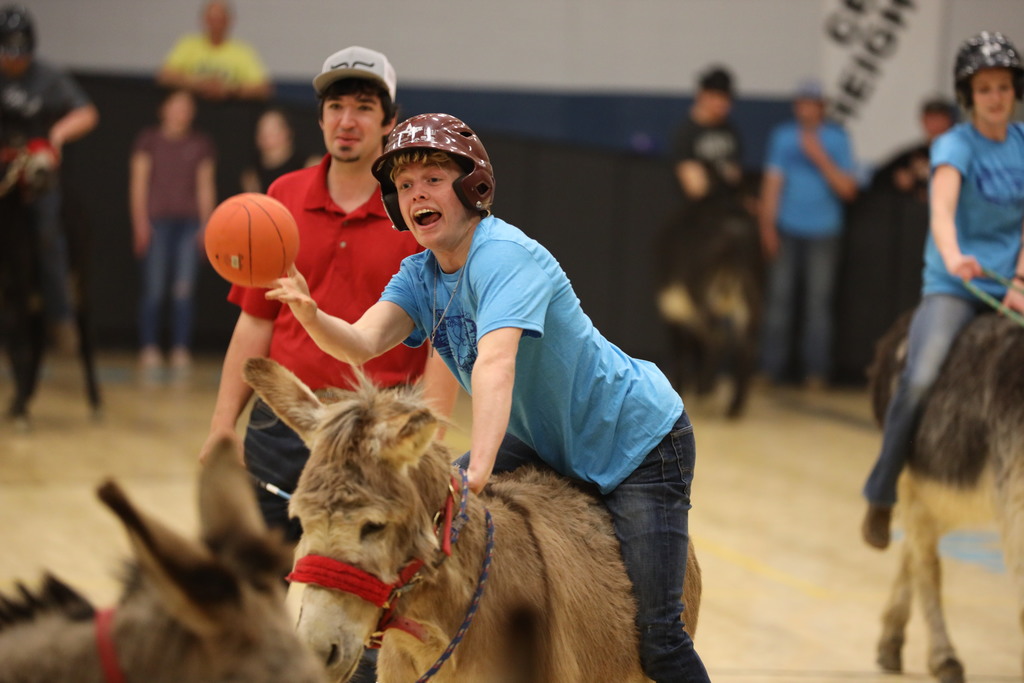 donkey basketball