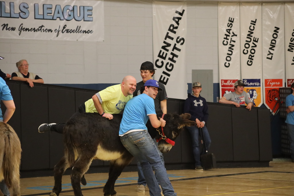 donkey basketball