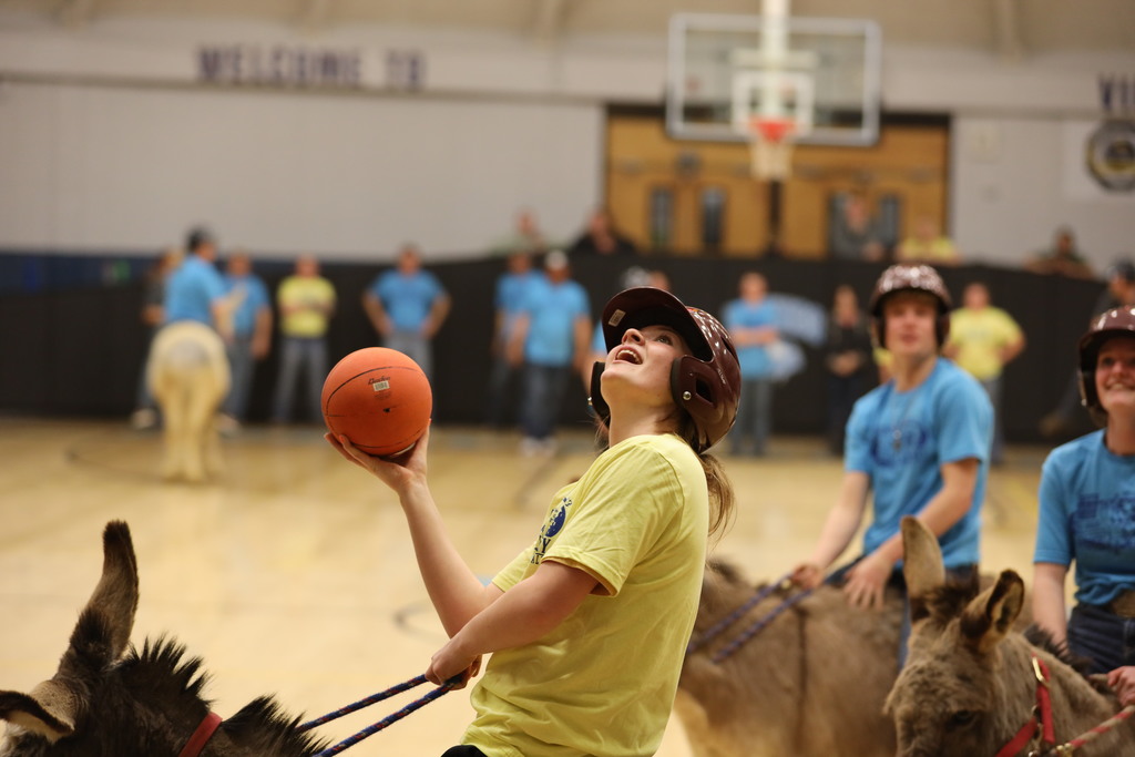 donkey basketball