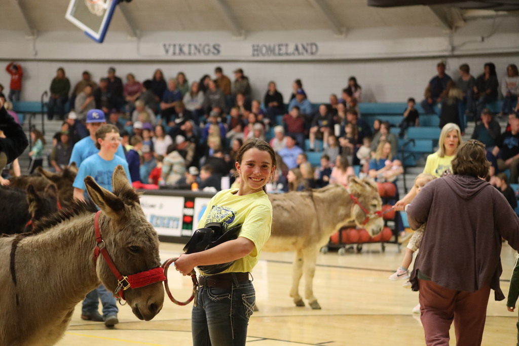 donkey basketball