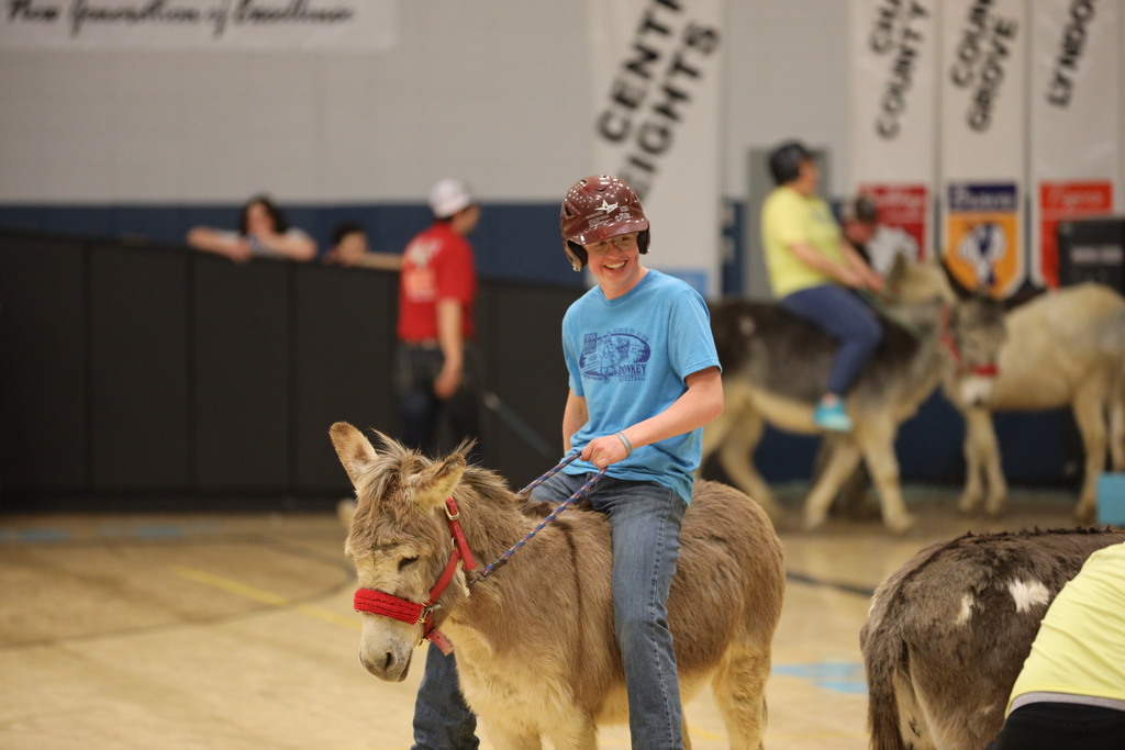 donkey basketball
