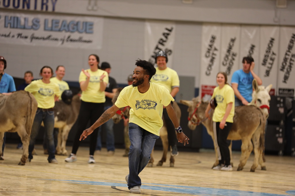 donkey basketball