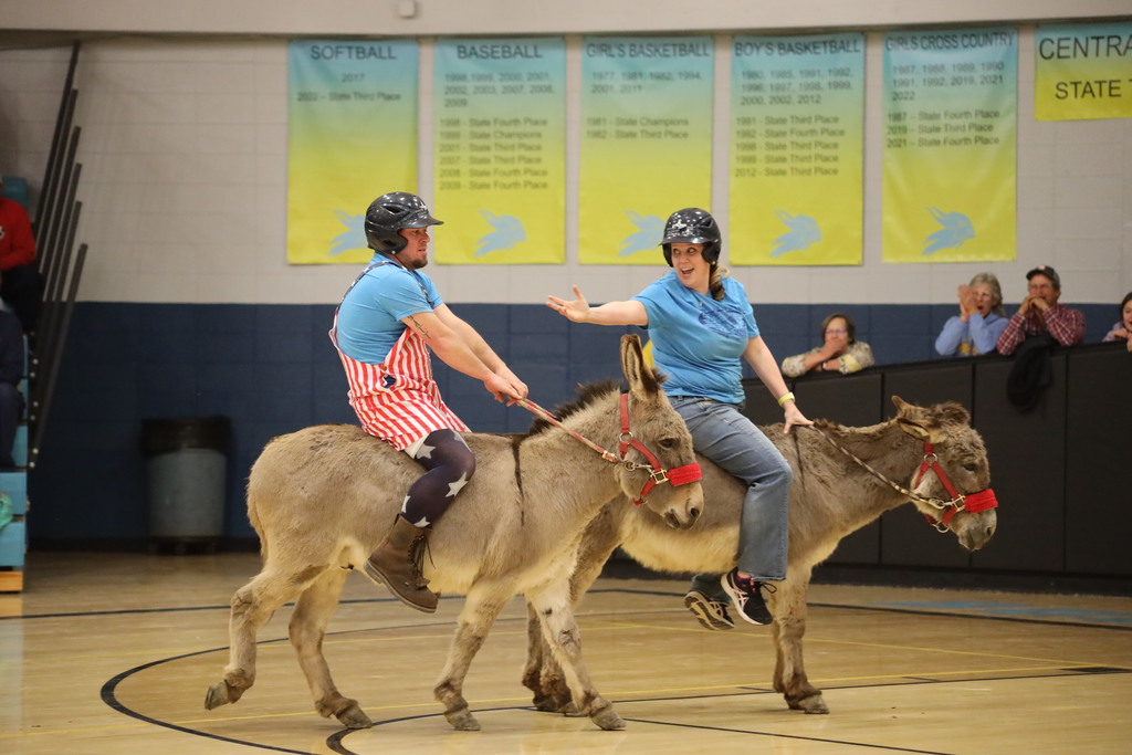 donkey basketball