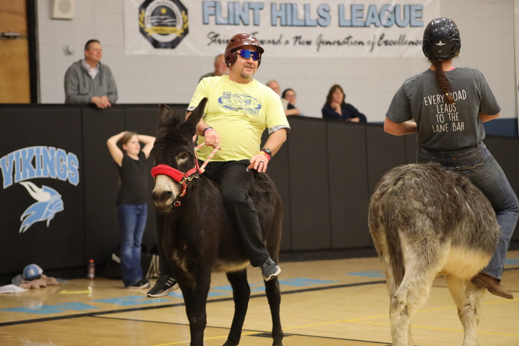 donkey basketball