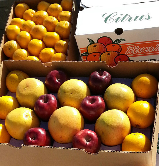 FFA Fruit
