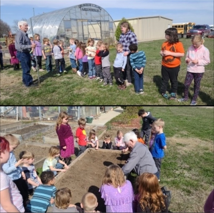 mr pearce wild wednesday