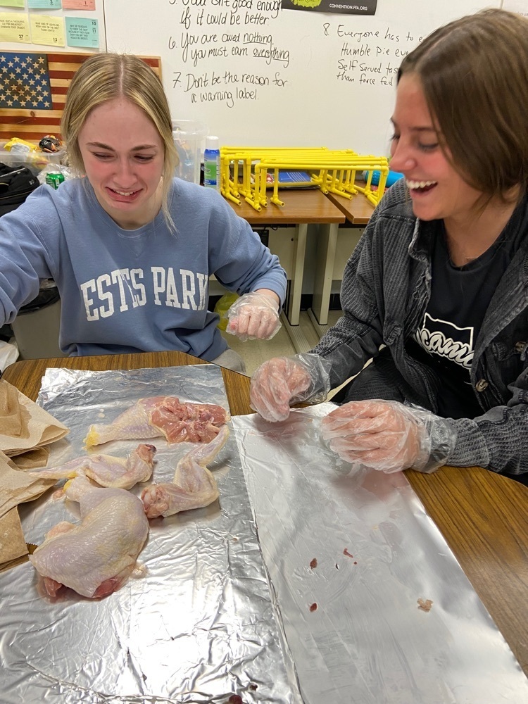 Intro to Ag - Poultry unit