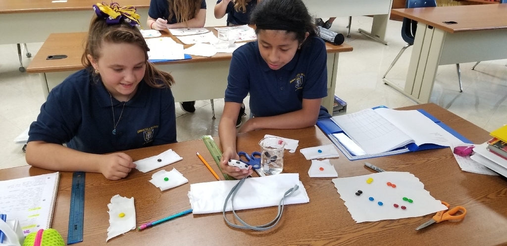 students are determining if they could dye a t-shirt with M&Ms