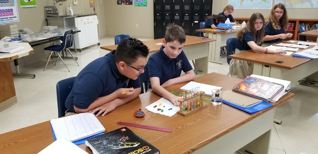 Students seeing which M&M color shell dissolves first