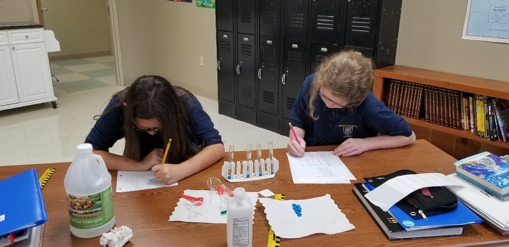 Seeing which liquid dissolves the shell of the M&M first