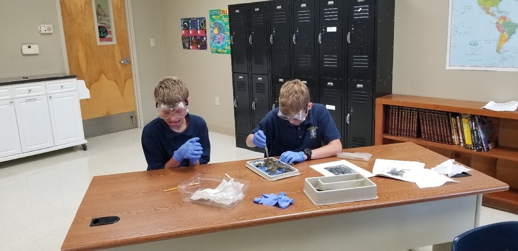 having a hard time watching frog dissection