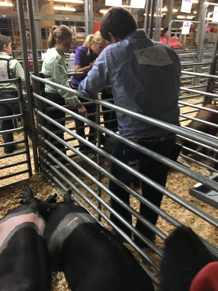 FFA