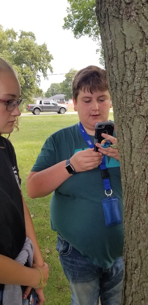 Bug Blitz 2018