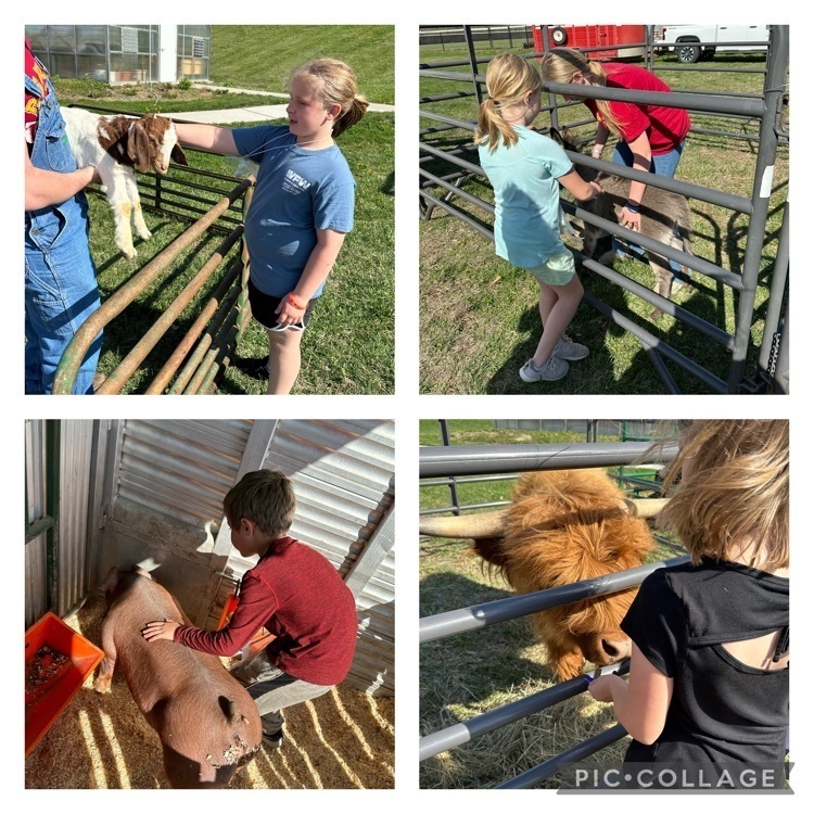 2nd Grade Agriculture Day