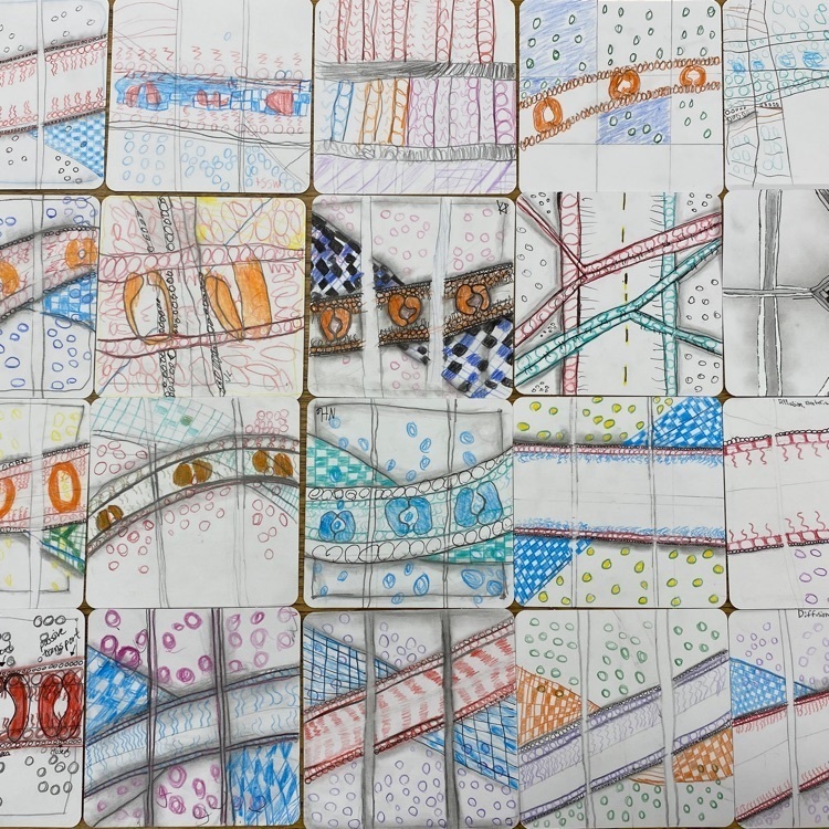 Active and Passive Inspired Zentangle by Ms. Oesch’s Science classes.