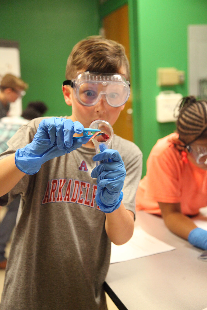 Clarks class dissecting squid
