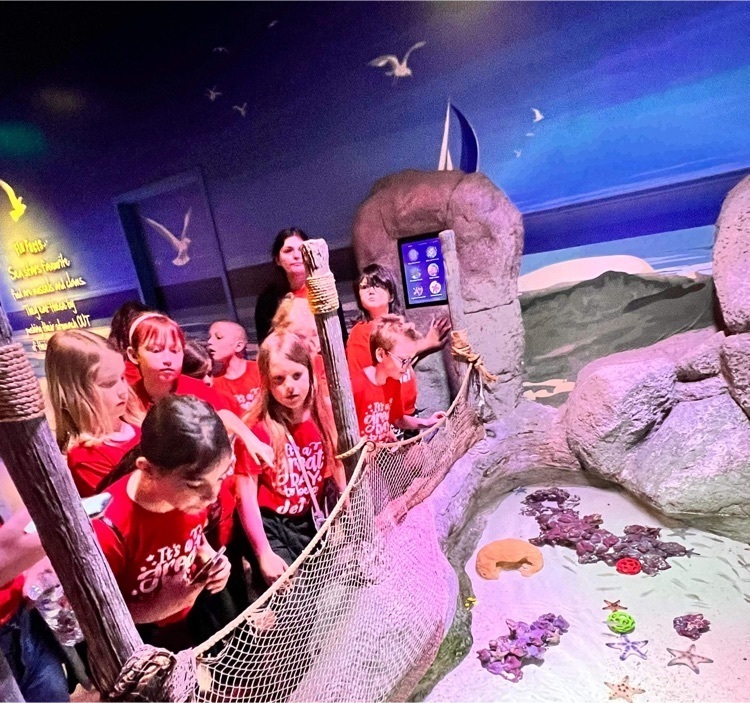 Sea Life Aquarium trip