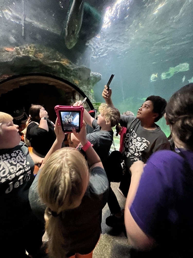 Sea Life Aquarium trip